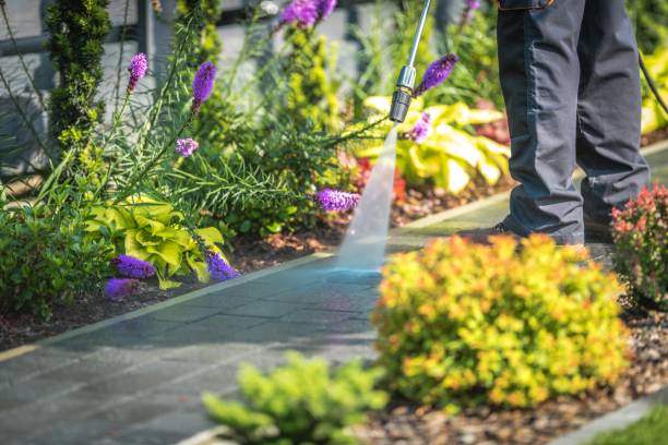 Best Soft Washing for Delicate Surfaces in Kings Park, NY